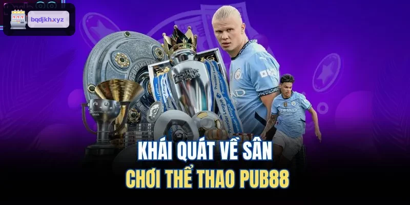 Khái quát về sân chơi thể thao HITCLUB